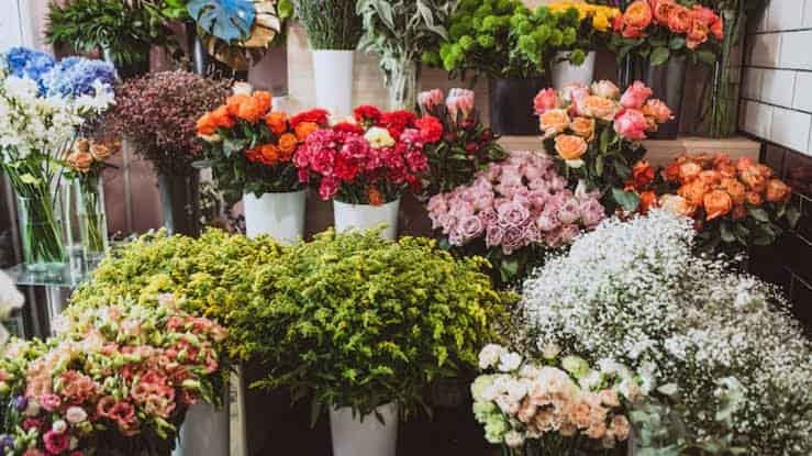 Is Flower Business Profitable in India?