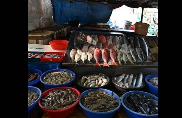 Is a Fish Shop Legal in India?