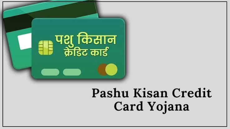 Pashu Kisan Credit Card Scheme Eligibility Benefits And Application